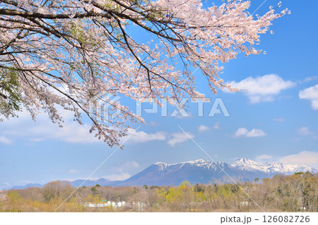 栃木県那須塩原市　満開の桜と那須岳の風景 126082726