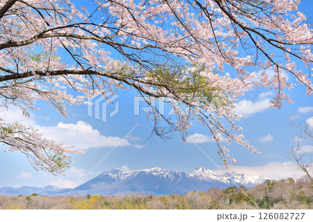 栃木県那須塩原市　満開の桜と那須岳の風景 126082727