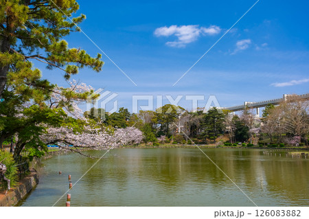 千葉市 春の千葉公園 126083882
