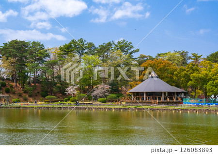 千葉市 春の千葉公園 126083893