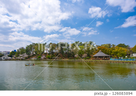 千葉市 春の千葉公園 126083894