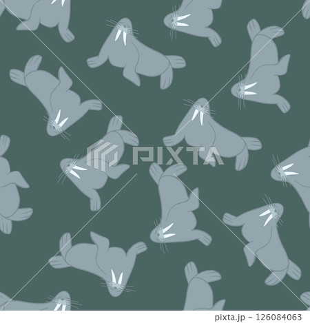 Vector isolated illustration of a pattern with walruses. Children's pattern with animals. 126084063