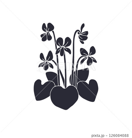 Monochrome Canary islands flower blue violet black silhouette isolated on white background Monochrome Canary islands flower blue violet black silhouette isolated on white background 126084088