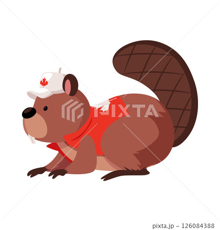 Cute beaver dressed in vest and baseball cap decorated with Canadian flag maple leaf, vector cartoon wild rodent animal 126084388