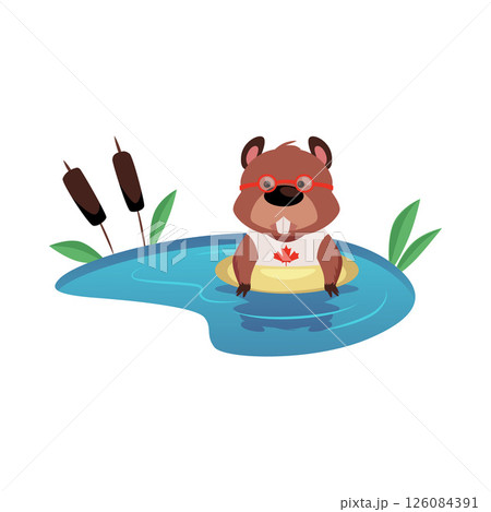 Cute beaver dressed in T-shirt decorated with Canadian flag maple leaf, swimming in the pond with inflatable ring vector 126084391