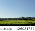 茶畑家から見る富士山 126084784