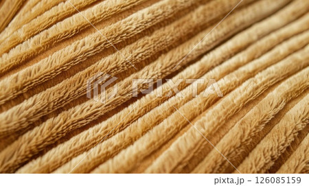 Warm Comfort. Cozy corduroy fabric texture concept 126085159