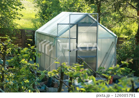A greenhouse is surrounded by trees and bushes 126085791