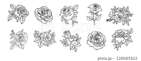 Hand drawn roses flowers line art illustration with floral botanical elements nature outline and sketch style 126085822