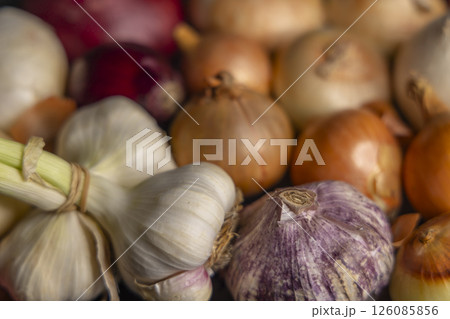 Fresh garlic and onions creating a colorful and textured still life Fresh garlic and onions creating a colorful and textured still life 126085856