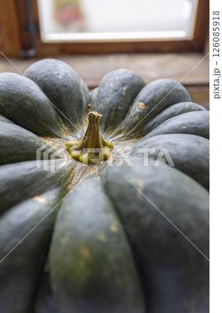 Close up of a green pumpkin showing its texture and stem near a window 126085918