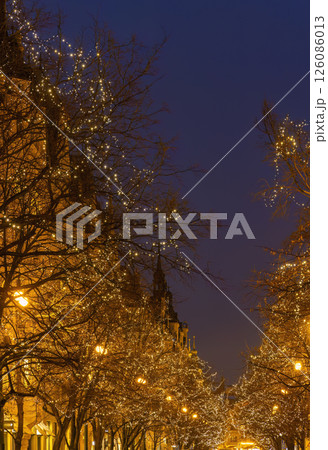 Christmas lights illuminating trees along a street at twilight 126086013