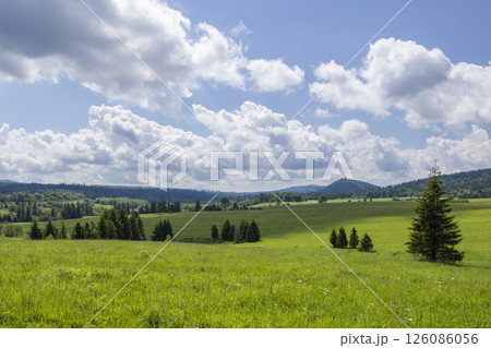 Green meadow and forest landscape in Bieszczady Mountains, Poland, under a cloudy sky Green meadow and forest landscape in Bieszczady Mountains, Poland, under a cloudy sky 126086056