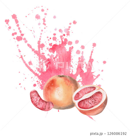 Grapefruit, slice and half with biscuits in the background. Isolated watercolor illustration for restaurant menu design, interior decoration, weddings, poster printing. 126086192