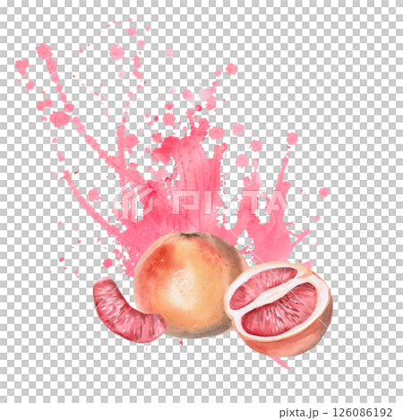 Grapefruit, slice and half with biscuits in the background. Isolated watercolor illustration for restaurant menu design, interior decoration, weddings, poster printing. 126086192