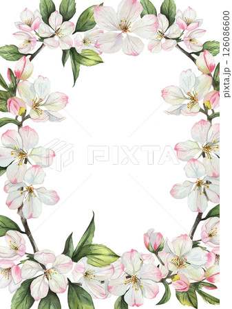 Rectangular watercolor frame with apple tree flowers and green leaves. Delicate white and pink flowers on a white background. Perfect for wedding and invitation decorations. Space for text. 126086600
