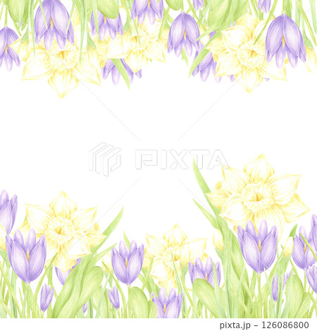 Hand drawn watercolor daffodil and crocus with green leaves frame border isolated on white background. Can be used for postcard, invitation, scrapbook and other printed products. Hand drawn watercolor daffodil and crocus with green leaves frame border isolated on white background. Can be used for postcard, invitation, scrapbook and other printed products. 126086800