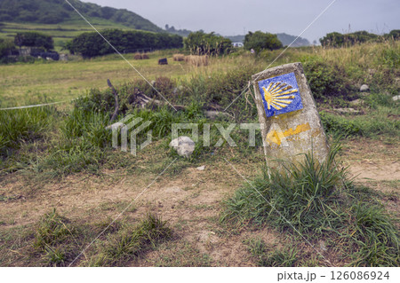 Road sign totem with yellow shell, that guides pilgrims along the Camino de Santiago, Galicia, Spain Road sign totem with yellow shell, that guides pilgrims along the Camino de Santiago, Galicia, Spain 126086924