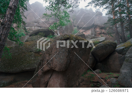 Taiga forest and rocks of the Stolby nature reserve park 126086971