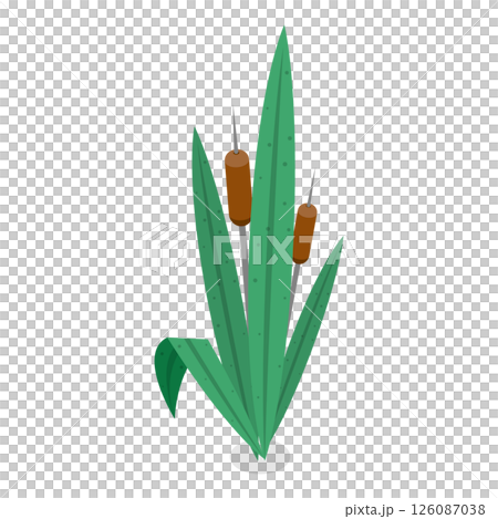 3D Isometric Flat Set of Lake Aquatic Plants. Item 4 3D Isometric Flat Set of Lake Aquatic Plants. Item 4 126087038
