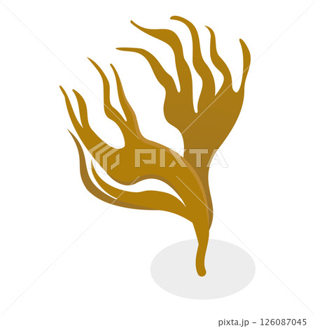 3D Isometric Flat Set of Seaweeds. Item 3 3D Isometric Flat Set of Seaweeds. Item 3 126087045