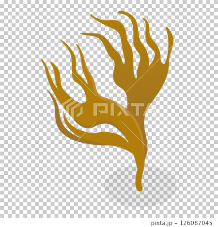 3D Isometric Flat Set of Seaweeds. Item 3 3D Isometric Flat Set of Seaweeds. Item 3 126087045