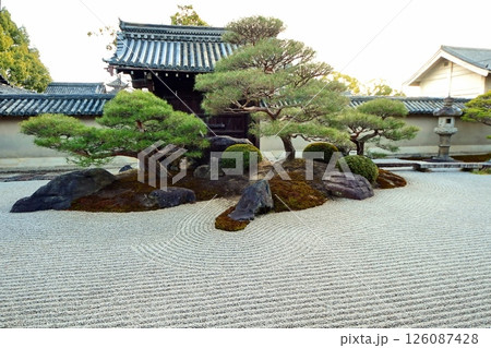 京都府　東寺 観智院・涅槃禄の庭「長者の庭」枯山水 京都市 南区 九条町　2022年2月 126087428