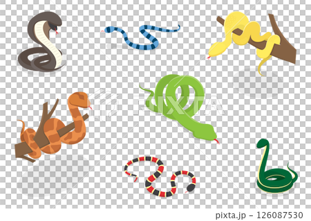 3D Isometric Flat Illustration of Colorful Poisonous Snakes, Vivid Toxic Serpents 3D Isometric Flat Illustration of Colorful Poisonous Snakes, Vivid Toxic Serpents 126087530