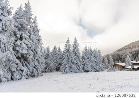 Winter landscape of the mountain. Winter landscape of the mountain. 126087638