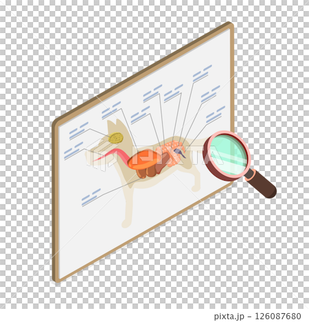 3D Isometric Flat  Illustration of Dog Anantomy, Internal Organ Examination Reveals A Dog Internal Organs 126087680