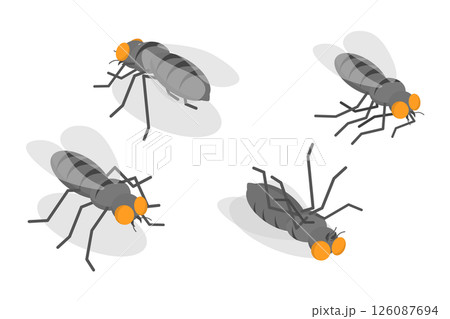 3D Isometric Flat  Set of Houseflies, The Pesky Insects Flying Inside 126087694