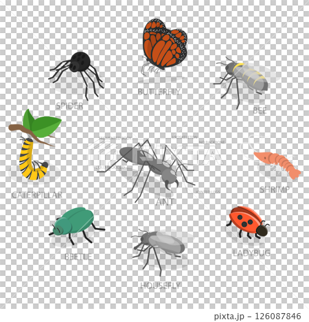 3D Isometric Flat Illustration of Insect Arthropods, Invertebrates With Jointed Legs 3D Isometric Flat Illustration of Insect Arthropods, Invertebrates With Jointed Legs 126087846