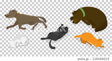 3D Isometric Flat Illustration of Sleeping Pets, Adorable Sleeping Pets Collection Featuring Cats And Dogs 3D Isometric Flat Illustration of Sleeping Pets, Adorable Sleeping Pets Collection Featuring Cats And Dogs 126088029