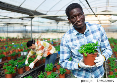 Positive gardener holding potted plant and looking at camera Positive gardener holding potted plant and looking at camera 126088665