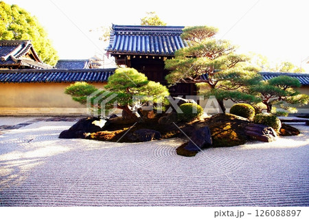 京都府　東寺 観智院・涅槃禄の庭「長者の庭」枯山水 京都市 南区 九条町　2022年2月 126088897