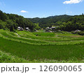 夏の田園風景 棚田と集落(大阪府茨木市大字長谷で2024年7月撮影) 126090065
