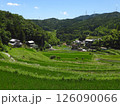 夏の田園風景 棚田と集落(大阪府茨木市大字長谷で2024年7月撮影) 126090066