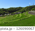 夏の田園風景 棚田と集落(大阪府茨木市大字長谷で2024年7月撮影) 126090067