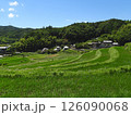 夏の田園風景 棚田と集落(大阪府茨木市大字長谷で2024年7月撮影) 126090068