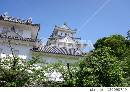 岐阜県 大垣城 岐阜県 大垣城 126090749