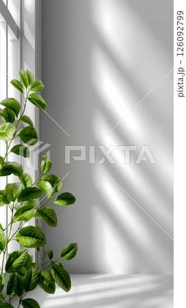 A plant in front of a window with a white wall A plant in front of a window with a white wall 126092799