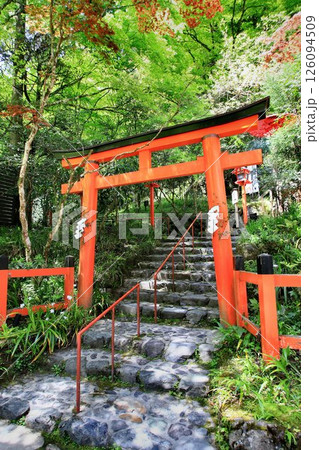 京都・鴨川の水源『貴船川』沿いに建つ… 縁結びの神水【貴船神社】 京都・鴨川の水源『貴船川』沿いに建つ… 縁結びの神水【貴船神社】 126094509