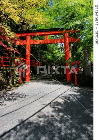 京都・鴨川の水源『貴船川』沿いに建つ… 縁結びの神水【貴船神社】 京都・鴨川の水源『貴船川』沿いに建つ… 縁結びの神水【貴船神社】 126094510