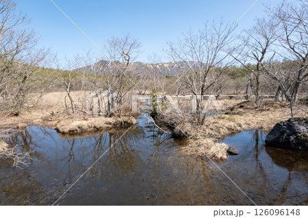 早春の那須沼ッ原湿原の風景 早春の那須沼ッ原湿原の風景 126096148