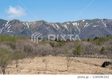 早春の那須沼ッ原湿原と裏那須連峰の山々 126096162
