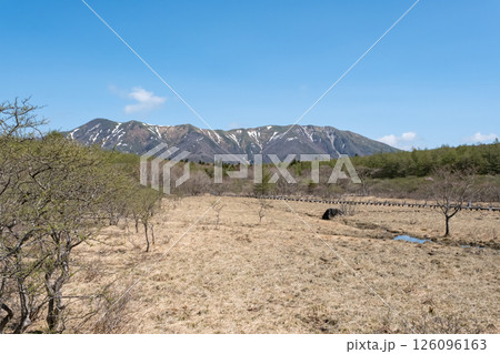 早春の那須沼ッ原湿原と裏那須連峰の山々 126096163