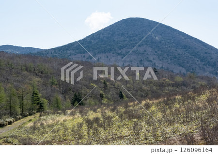 快晴の沼ッ原湿原の風景 126096164