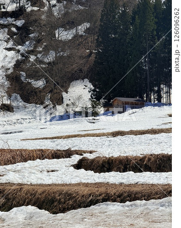 Shirakawa-go is historic village in Gifu Prefecture, famous for its gassho-zukuri farmhouses with steep thatched roofs, a UNESCO World Heritage Site. 126096262