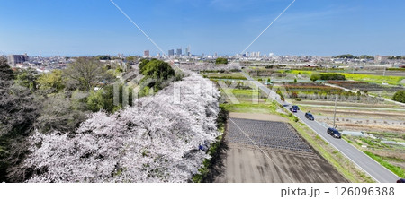 空撮「埼玉県」春・見沼田んぼの桜回廊 空撮「埼玉県」春・見沼田んぼの桜回廊 126096388