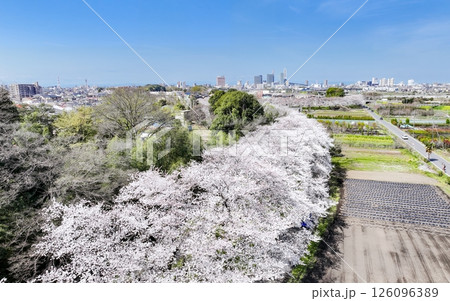 空撮「埼玉県」春・見沼田んぼの桜回廊 空撮「埼玉県」春・見沼田んぼの桜回廊 126096389